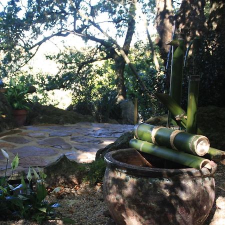 Domocantabria, Cupula Experiencias Sobremazas Eksteriør bilde