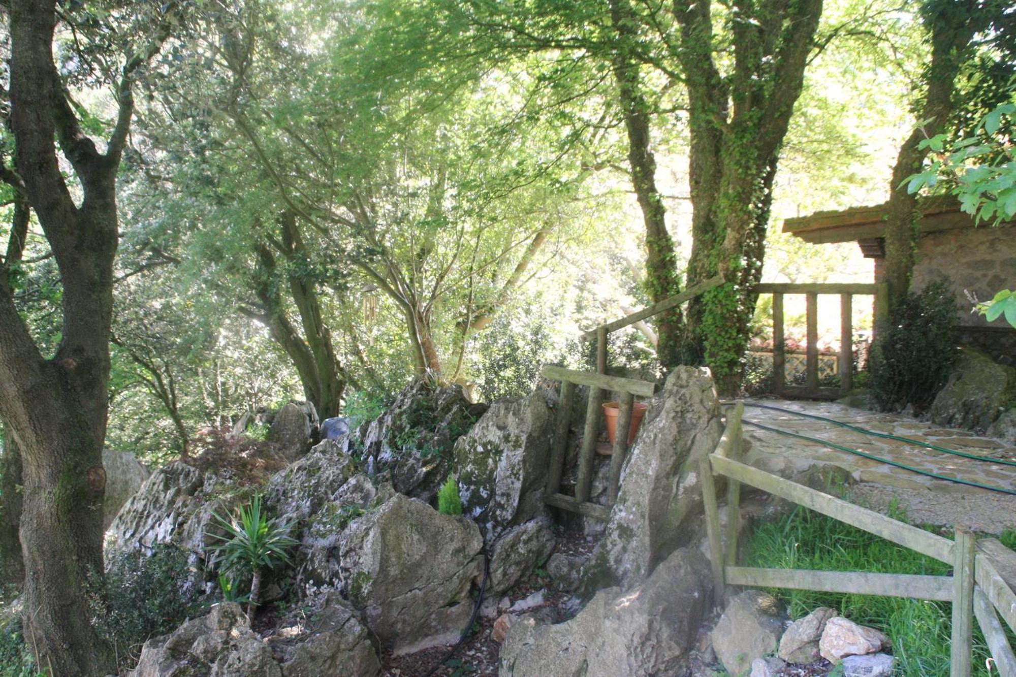 Domocantabria, Cupula Experiencias Sobremazas Eksteriør bilde